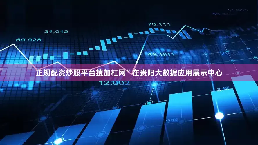 正规配资炒股平台搜加杠网”在贵阳大数据应用展示中心