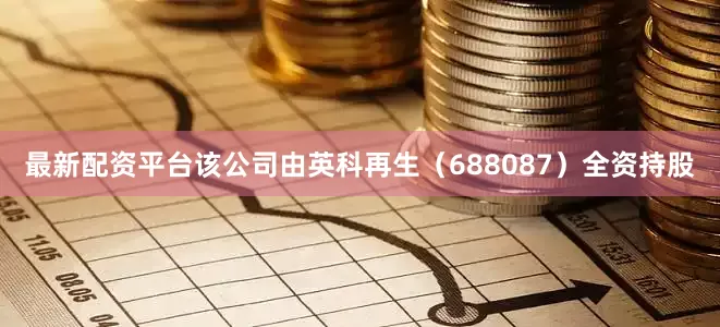 最新配资平台该公司由英科再生（688087）全资持股