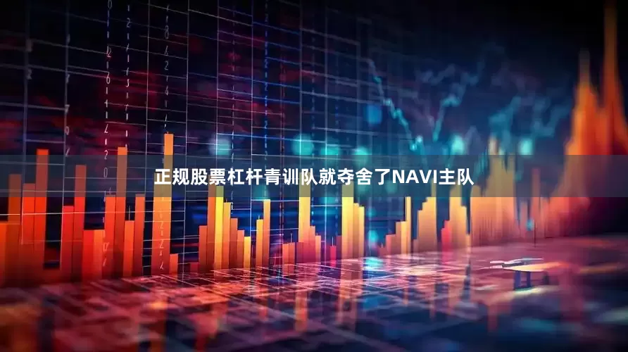 正规股票杠杆青训队就夺舍了NAVI主队